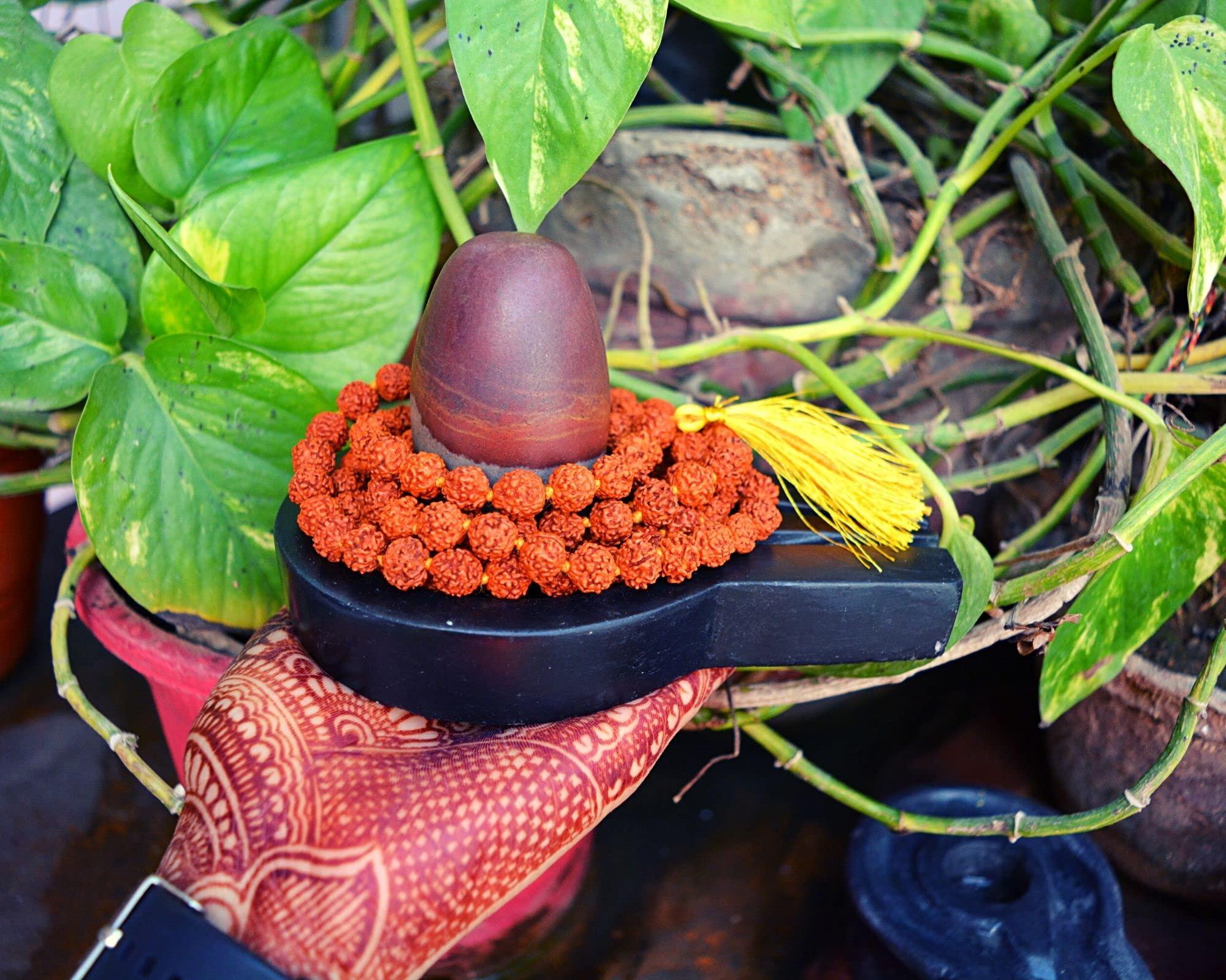 Shiva Lingam Shop 3" Narmadeshwaram Lingam with 6" Black Yoni Base Unique Shivlingam Set~I-5631