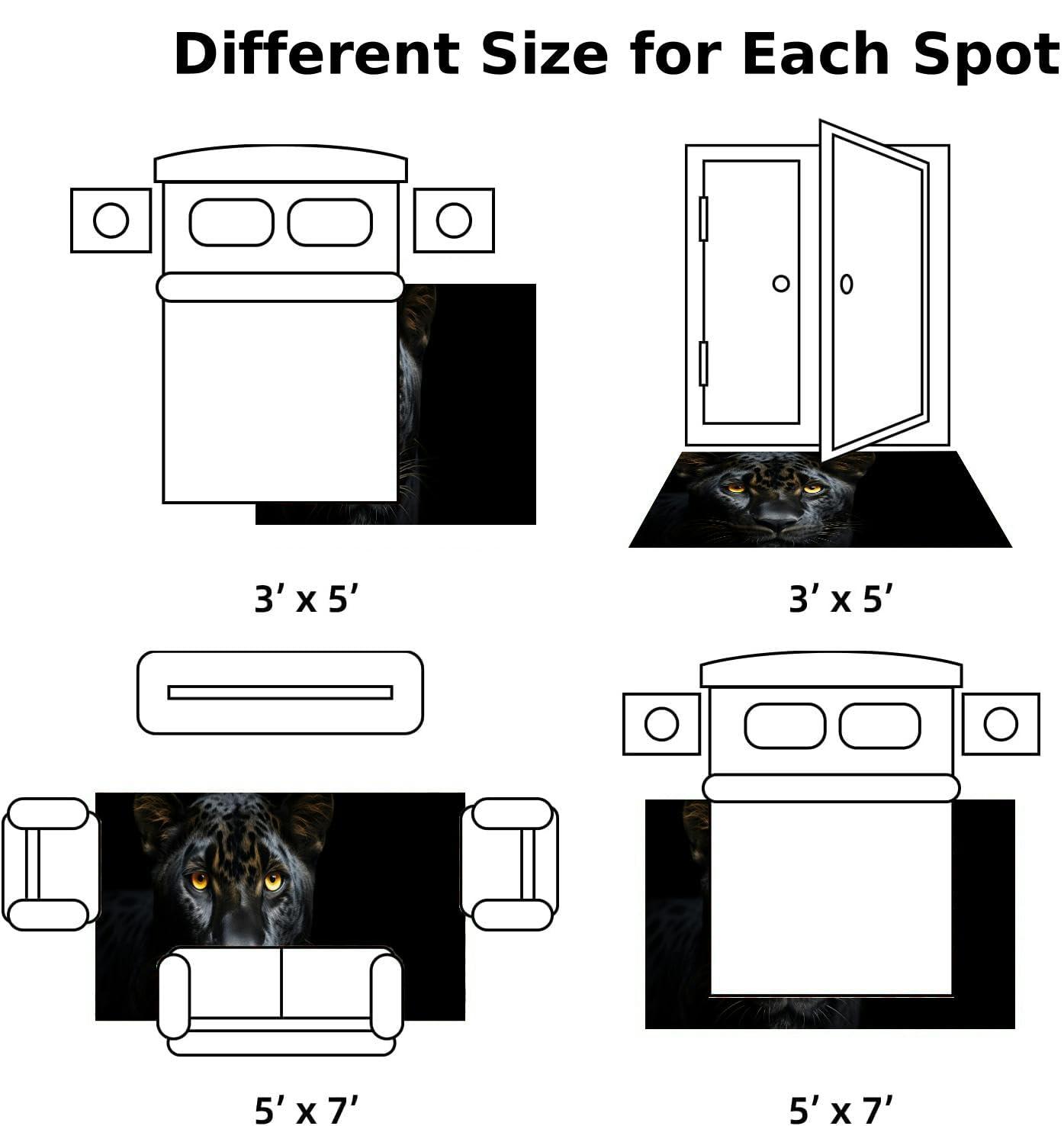 ZaCosy Black Panther a Black 3x5 Rug Throw Rugs Entryway Indoor Front Door Mat Non Slip Bedside Area Rug for Bedroom Aesthetic Kitchen Carpet Machine Washable