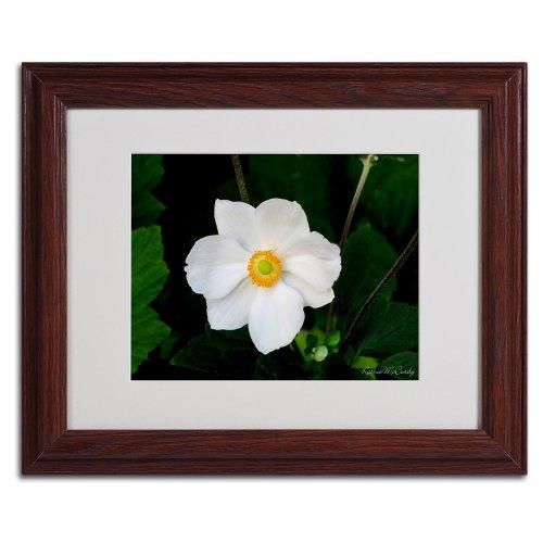 Bulbrite (Pack of 5) Bulbrite 20W T3 KX2000 Frost DC 120V Light Bulb