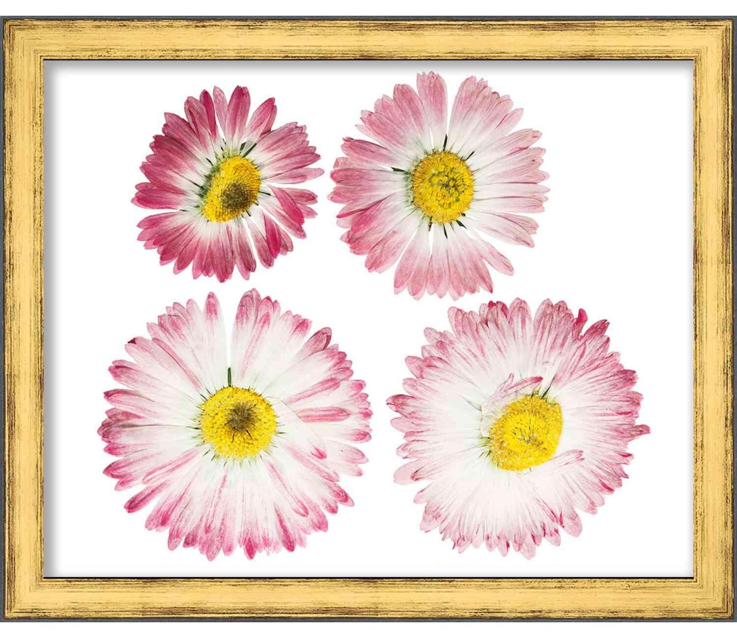 Poster Palooza 17x23 Gold Shadowbox Frame - Shadow Box Frame Interior Size 17x23 by 1.25 Inches Deep - Gold Frame Made to Display Items Up to 1.25 Inches Deep! Includes Shatter Resistant Acrylic, Backing, Hardware