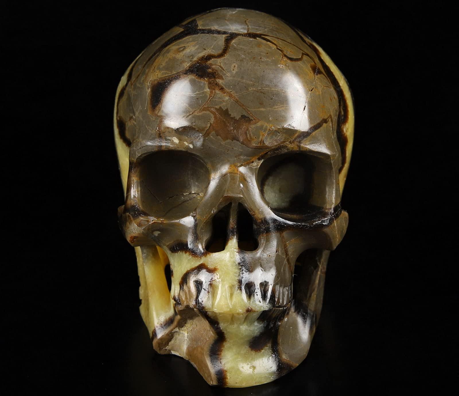 Skullis Skullis 5.0" Dragon Septarian Stone Hand Carved Crystal Skull, Super Realistic, Crystal Healing, Hand Carved Gemstone Fine Art Sculpture, Reiki Healing Stone Statue.1133 Z8