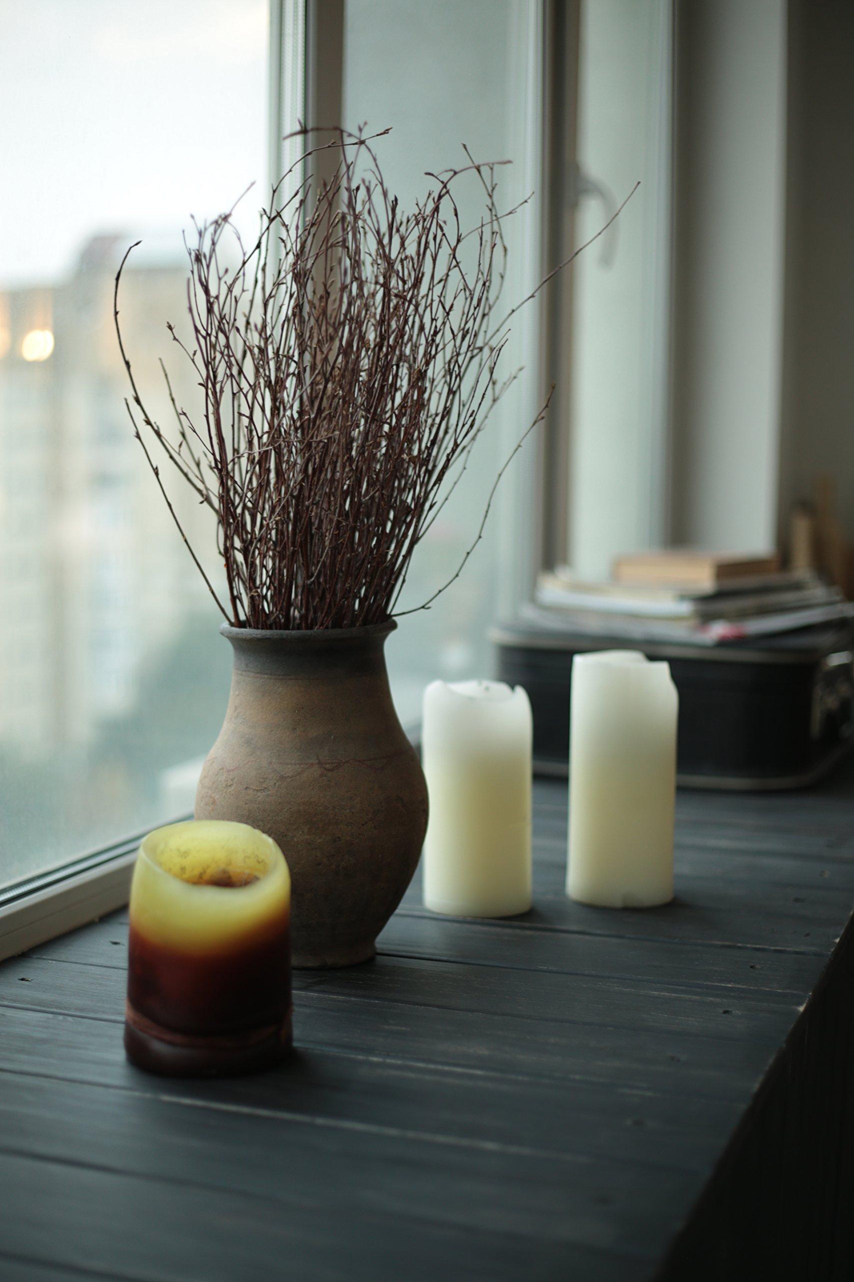 ECOWOODDECOR 200 pcs. 100% Natural Birch Twigs for centerpieces, for Crafts, Set of 4 Bundles. [ECOWOODDECOR] Birch Branches for vase Decoration, DIY, Wedding Decoration Birch Twigs