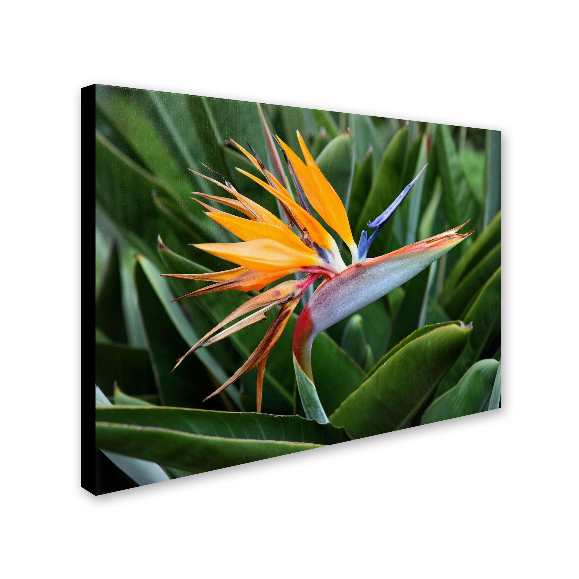 Just Candy Personalized Wedding Favors, Custom Stickers and Candy, Life Savers Hard Candy DIY Wedding, (365 pcs, 432 Stickers)