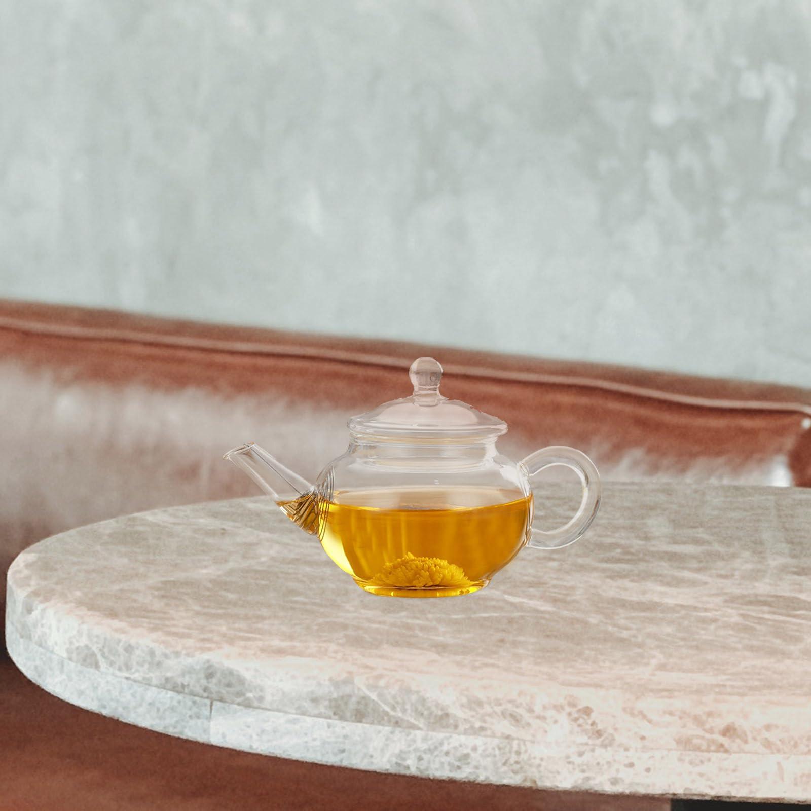 Garneck Garneck Tea Kettle with Infuser Glass Tea Kettle,borosilicate Glass Teapot with Infuser Blooming Tea Teapot Teapot Clear Glass Kettle with Strainer