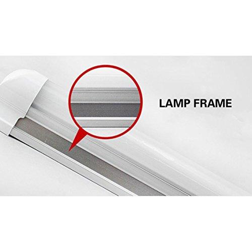 PINSHUO 10PCS 3 Years Warranty DC12V 2ft 0.6m 600mm 10W T8 LED Tube 12v Fluorescent Lamp Daylight Lights (10, Cool White)