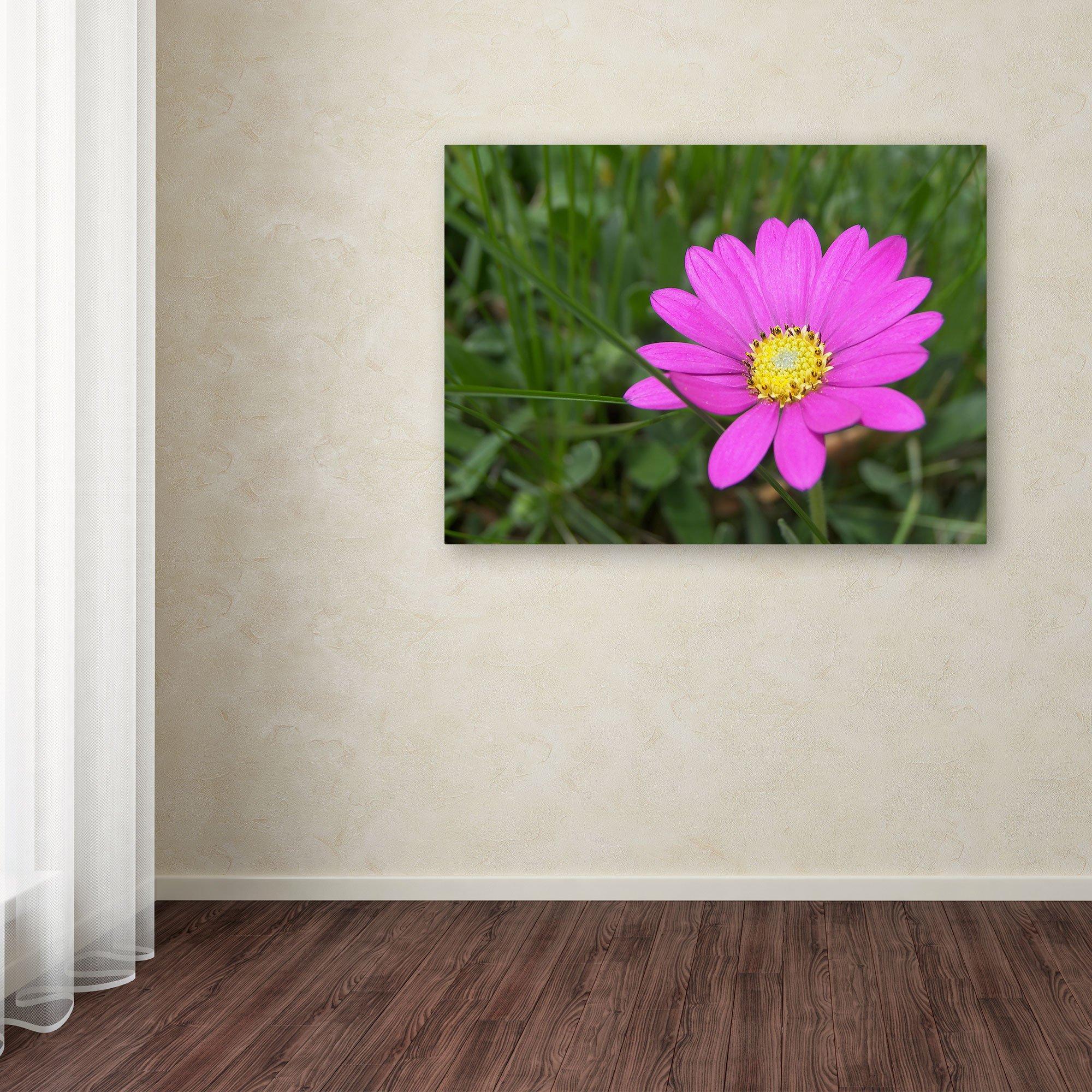 Winco Winco HAG-2012 Deluxe Griddle, 19-5/8\" L X 12-1/4\" W, Silicone Wrapped Lifted Handles, Hard Anodized Aluminum