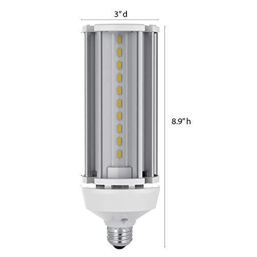 Feit Electric Feit Electric C4000/5K/LED LED Light Bulb, Yard, Yard Light