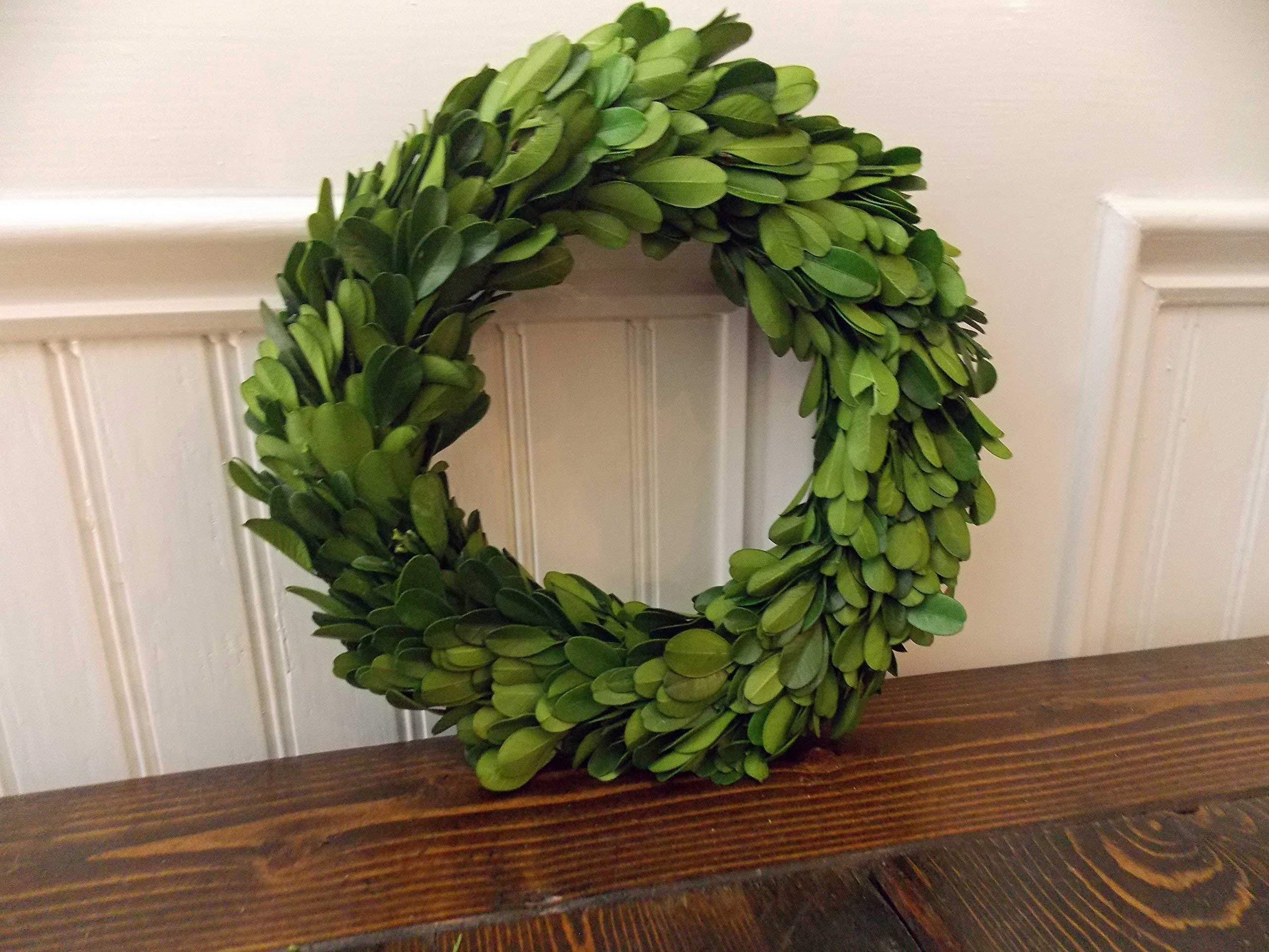 Wreath and Vine 10 Inch Small Mini Preserved Boxwood Wreath Candle Ring Holder, Decorative for Christmas Year Round, Spring, Summer, Thanksgiving, Rustic Farmhouse Holiday Home Decor, Handmade, Green