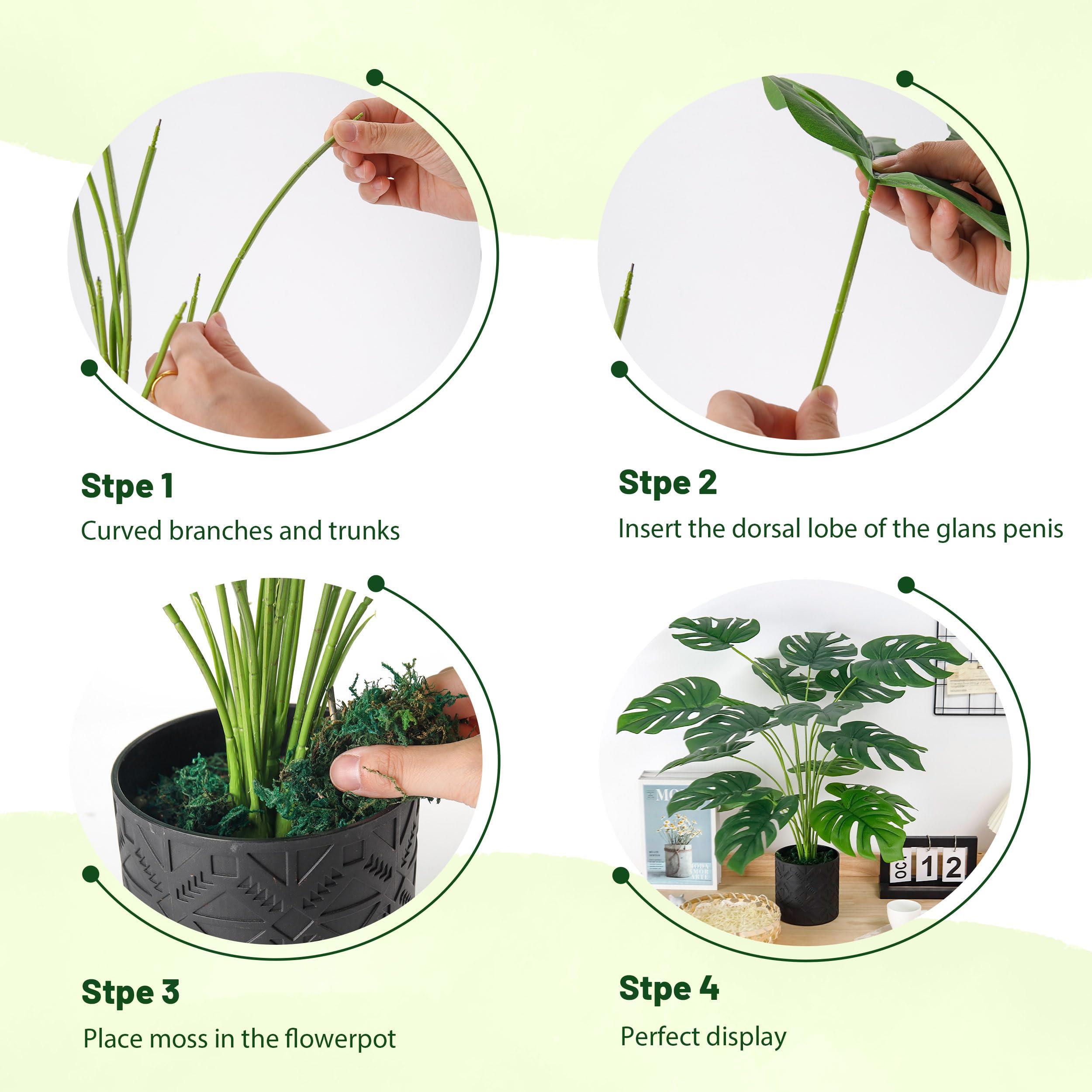 Framerly Framerly - Stanford University 11\" W X 8.5\" H Diploma Frame - Fits a Bachelor\'s, Master\'s and Phd - Gold Embossed Diploma Frame - Cherry Moulding with Black and Red Matting - Officially Licensed