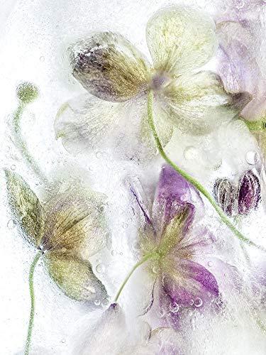Posterazzi Posterazzi Collection Frozen Floral IV Poster Print by Mandy Disher (12 x 9)