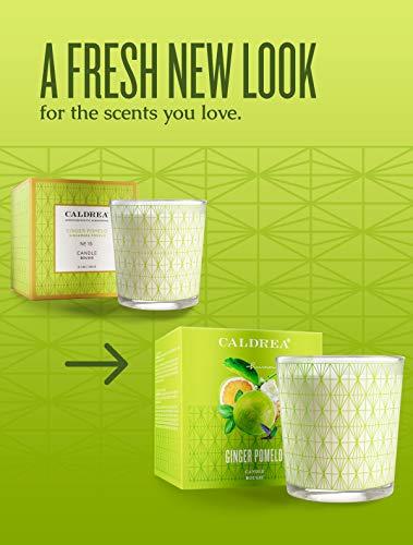 Caldrea Caldrea Scented Candle, Made with Essential Oils and Other Thoughtfully Chosen Ingredients, 45 Hour Burn Time, Ginger Pomelo Scent, 8.1 oz