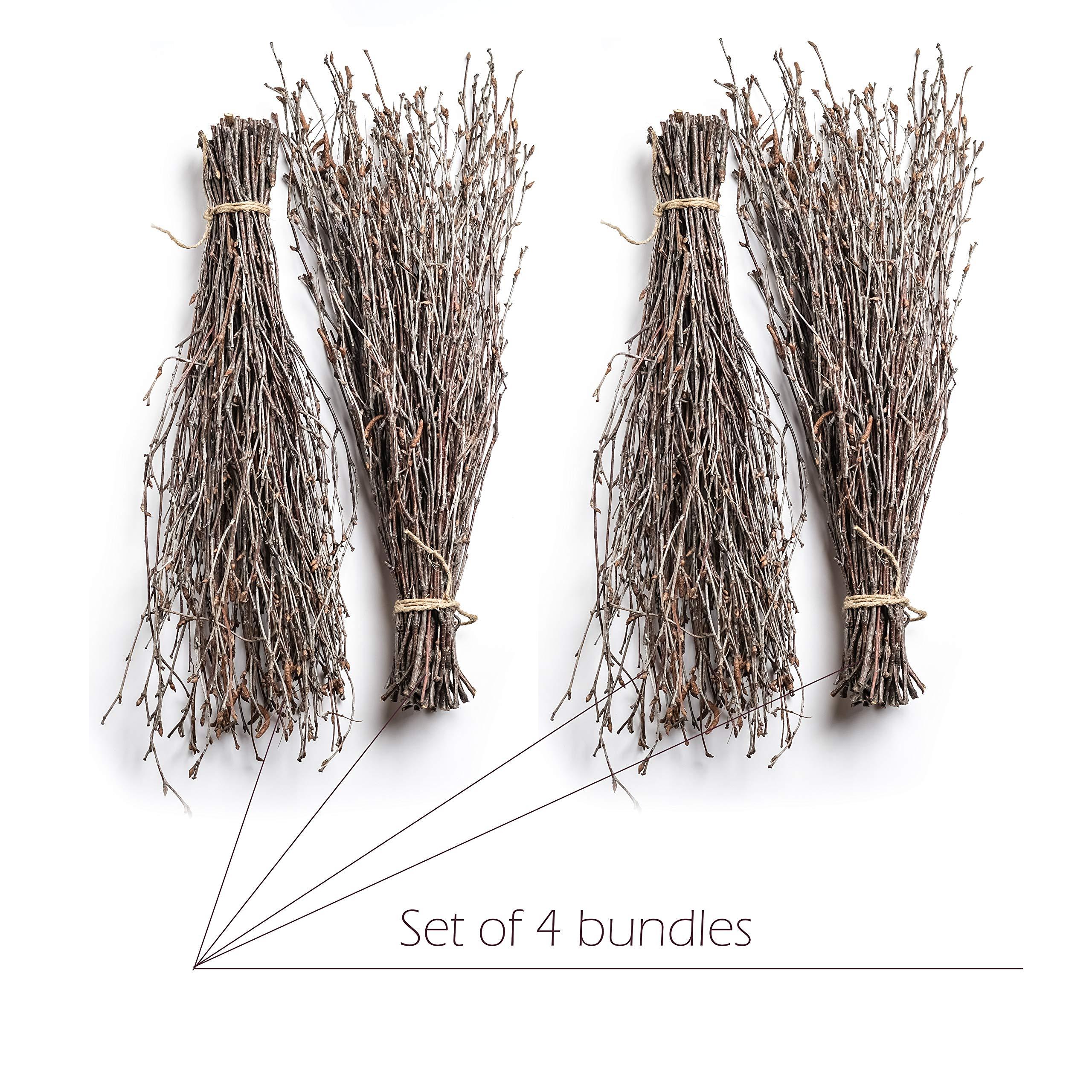ECOWOODDECOR 200 pcs. 100% Natural Birch Twigs for centerpieces, for Crafts, Set of 4 Bundles. [ECOWOODDECOR] Birch Branches for vase Decoration, DIY, Wedding Decoration Birch Twigs