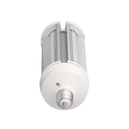 Feit Electric Feit Electric C4000/5K/LED LED Light Bulb, Yard, Yard Light