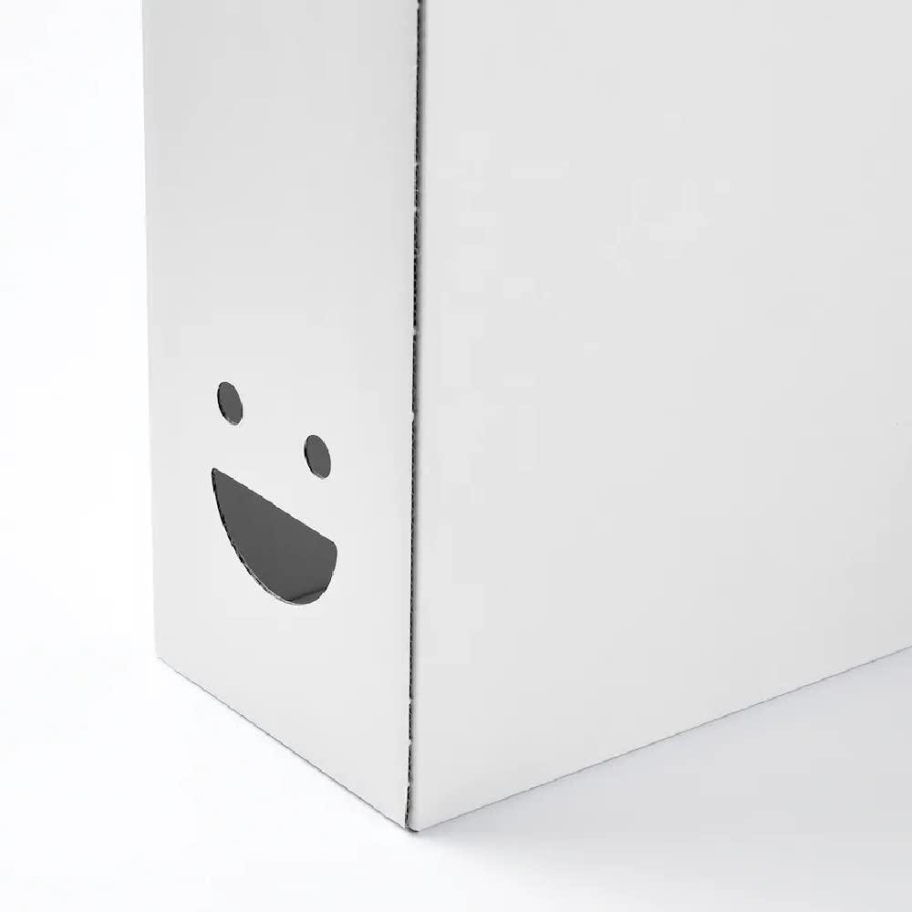 I-K-E-A I-K-E-A TJABBA Magazine File Holder, White 2 Pack