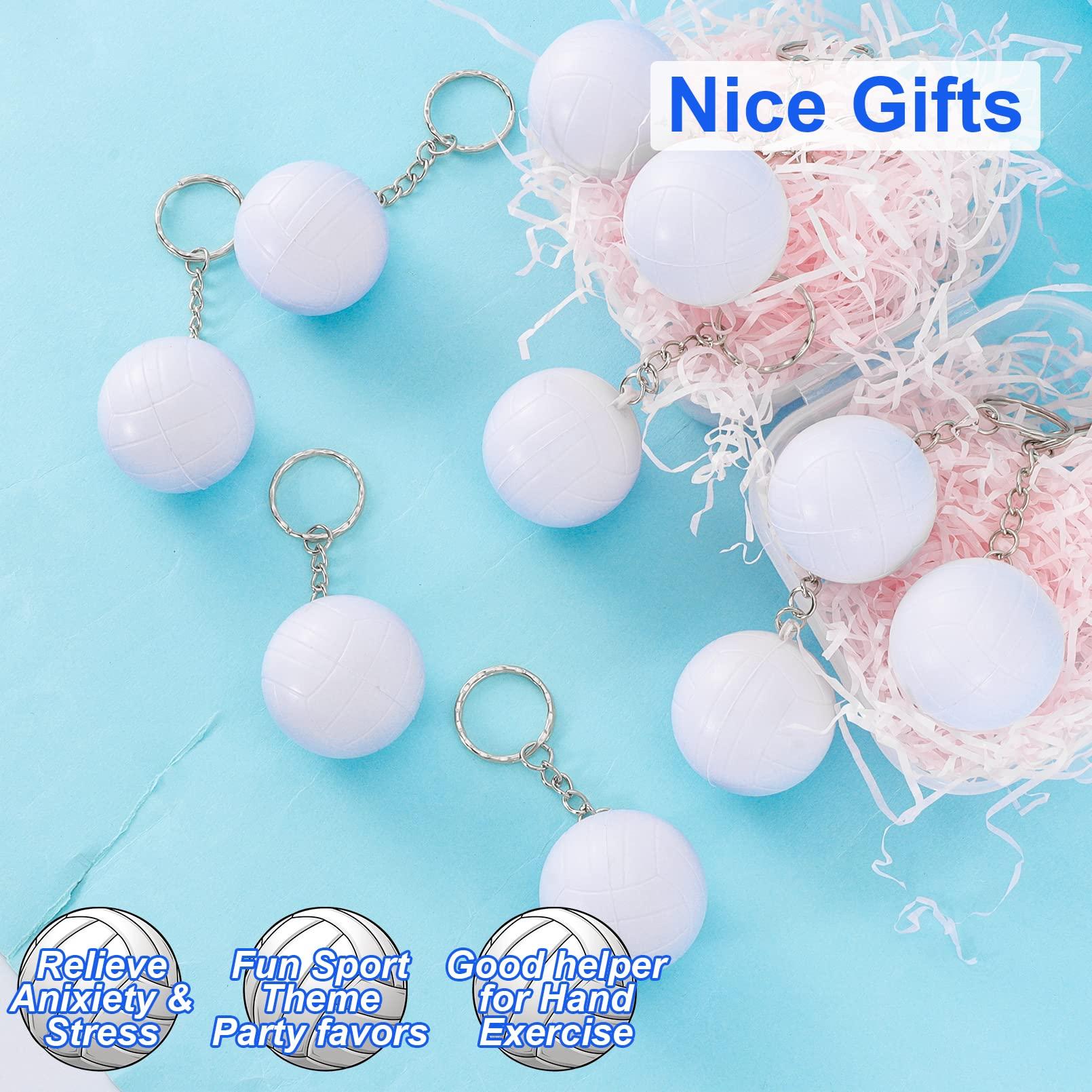 Ocbewua 24 Pack Volleyball Keychains,Volleyball Party Favors Supplies,Mini Volleyball Stress Ball Keychains,Sports Ball Keychains,School Carnival Reward,Party Bag Gift Fillers for Boys Girls Kids (Volleyball)
