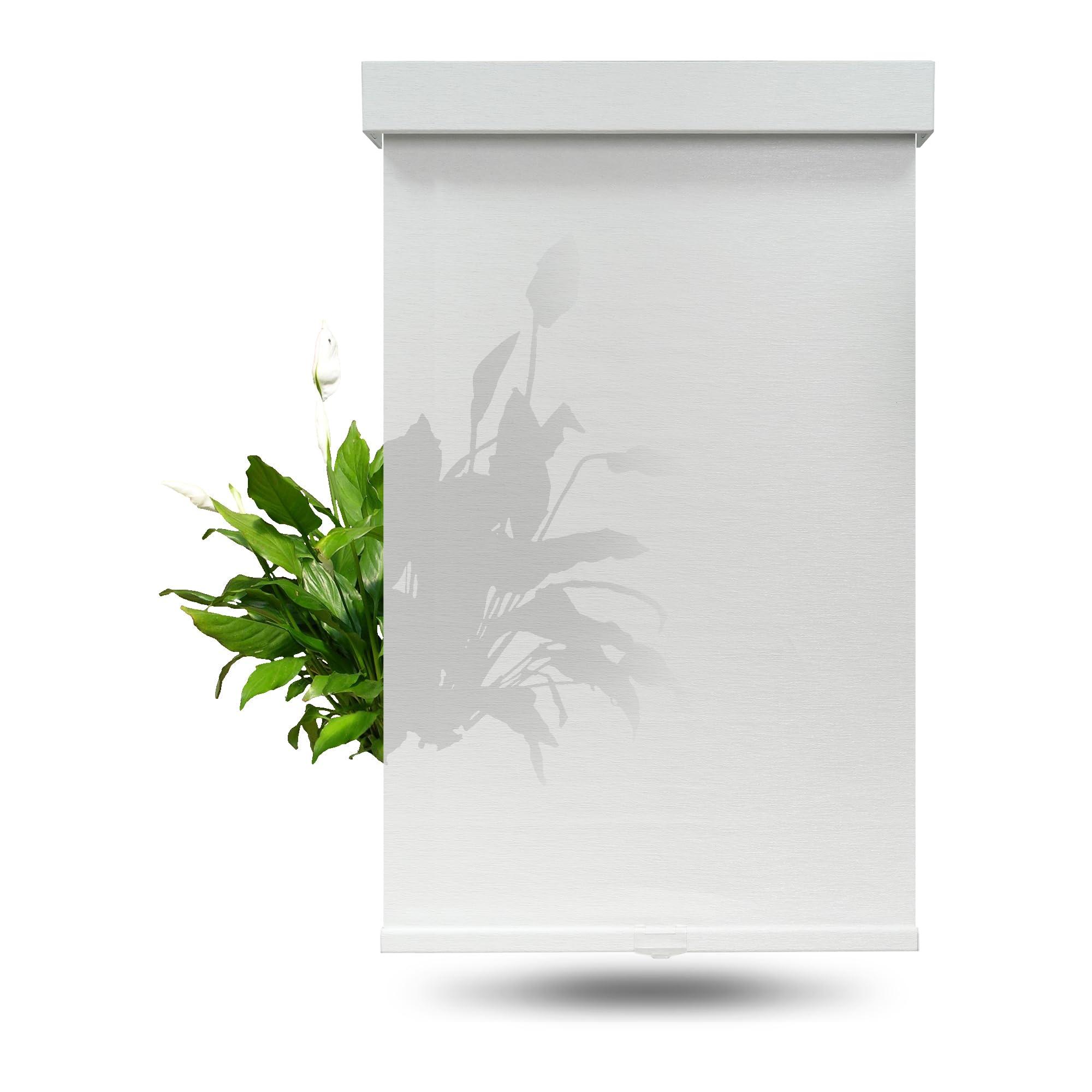 Blindify Blindify Light Filtering Roller Shades for Windows, Cordless Roller Blinds for Windows, Window Shades for Home, Office, Bedroom, Door, White, 62" W x 72" H