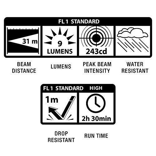 MagLite Maglite Mini Incandescent 2-Cell AAA Flashlight, Purple
