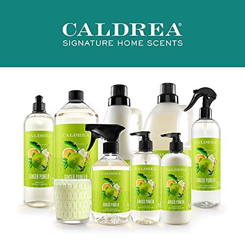 Caldrea Caldrea Scented Candle, Made with Essential Oils and Other Thoughtfully Chosen Ingredients, 45 Hour Burn Time, Ginger Pomelo Scent, 8.1 oz
