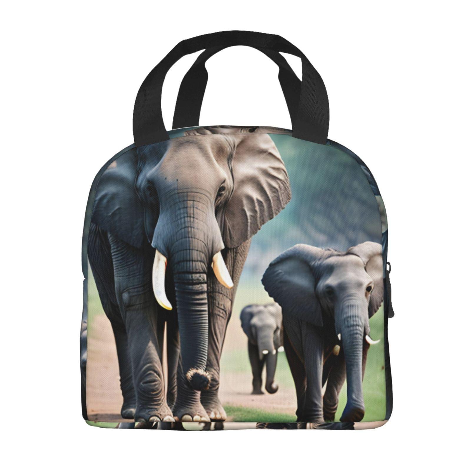 ZISHAK Elephant Family Lunch Bag Box Reusable Insulated Lunch Tote Bag,Leakproof Thermal Sack Food Case High Capacity