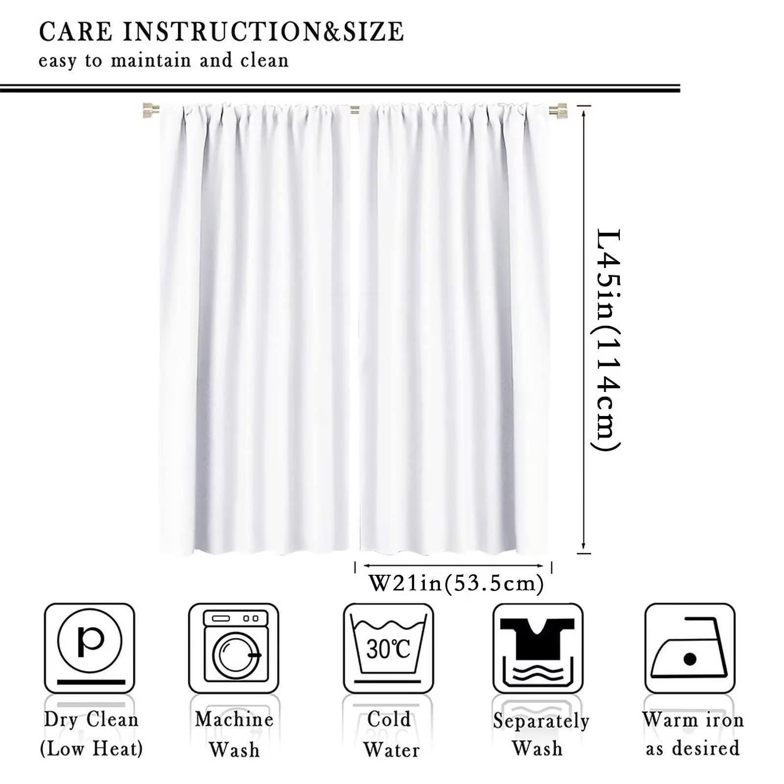 BAEKJIN Animal Skin Curtains for Kitchen Black White Leopard Print Modern Simple Geometric Art Printed Living Room Bedroom Window Drapes 42x45in