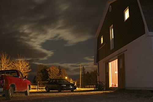 Feit Electric Feit Electric C4000/5K/LED LED Light Bulb, Yard, Yard Light