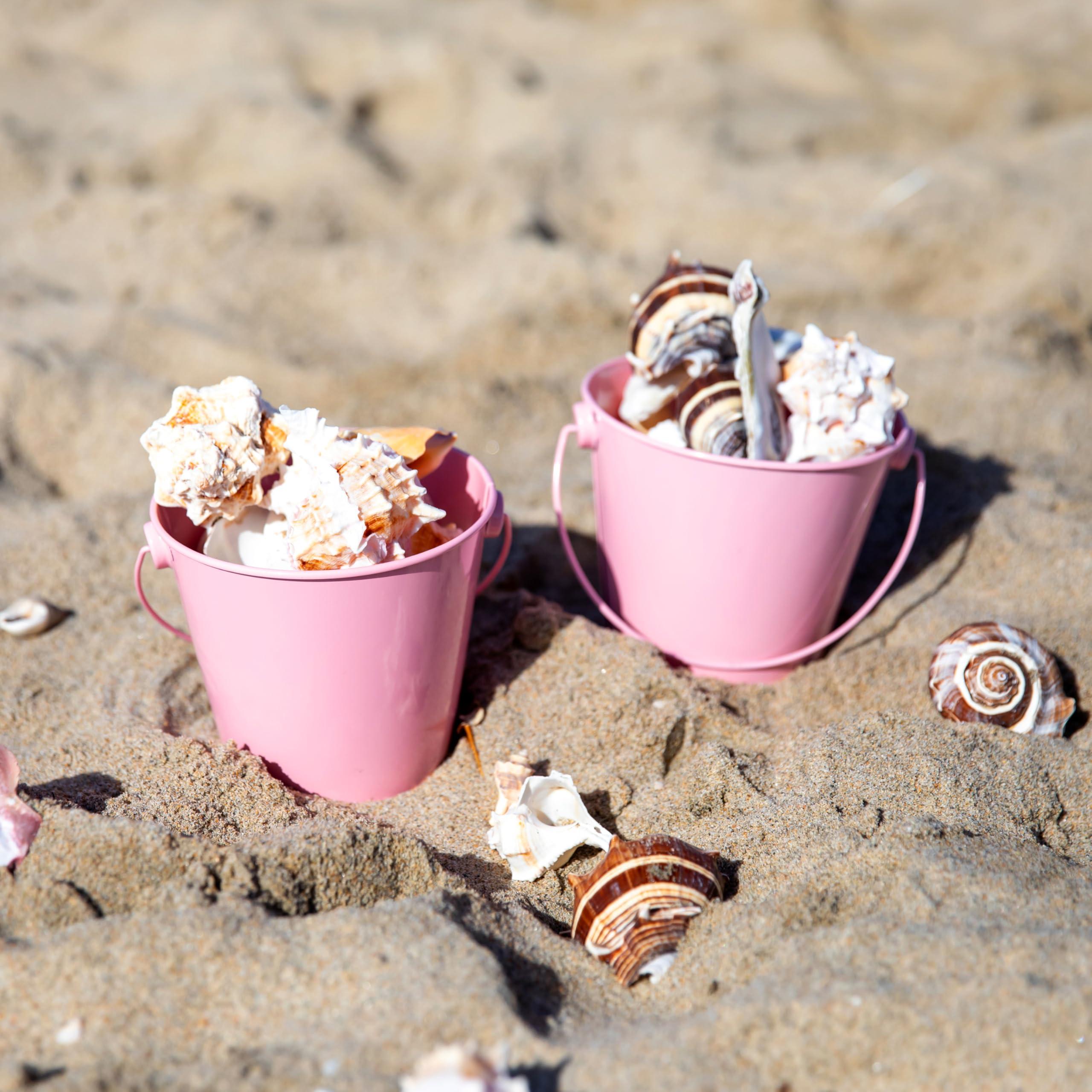 Dominus Decors Small Metal Buckets with Handles - Leak-Proof Metal Pail Bucket - Galvanized Bucket with Handle - Multipurpose Tin Bucket for Party Favors, Organization, School, Weddings, Garden - Set of 6, Pink