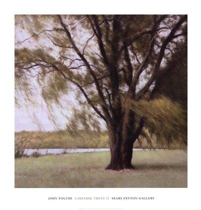 MCG Lakeside Trees II by John Folchi 24"x24" Art Print Poster