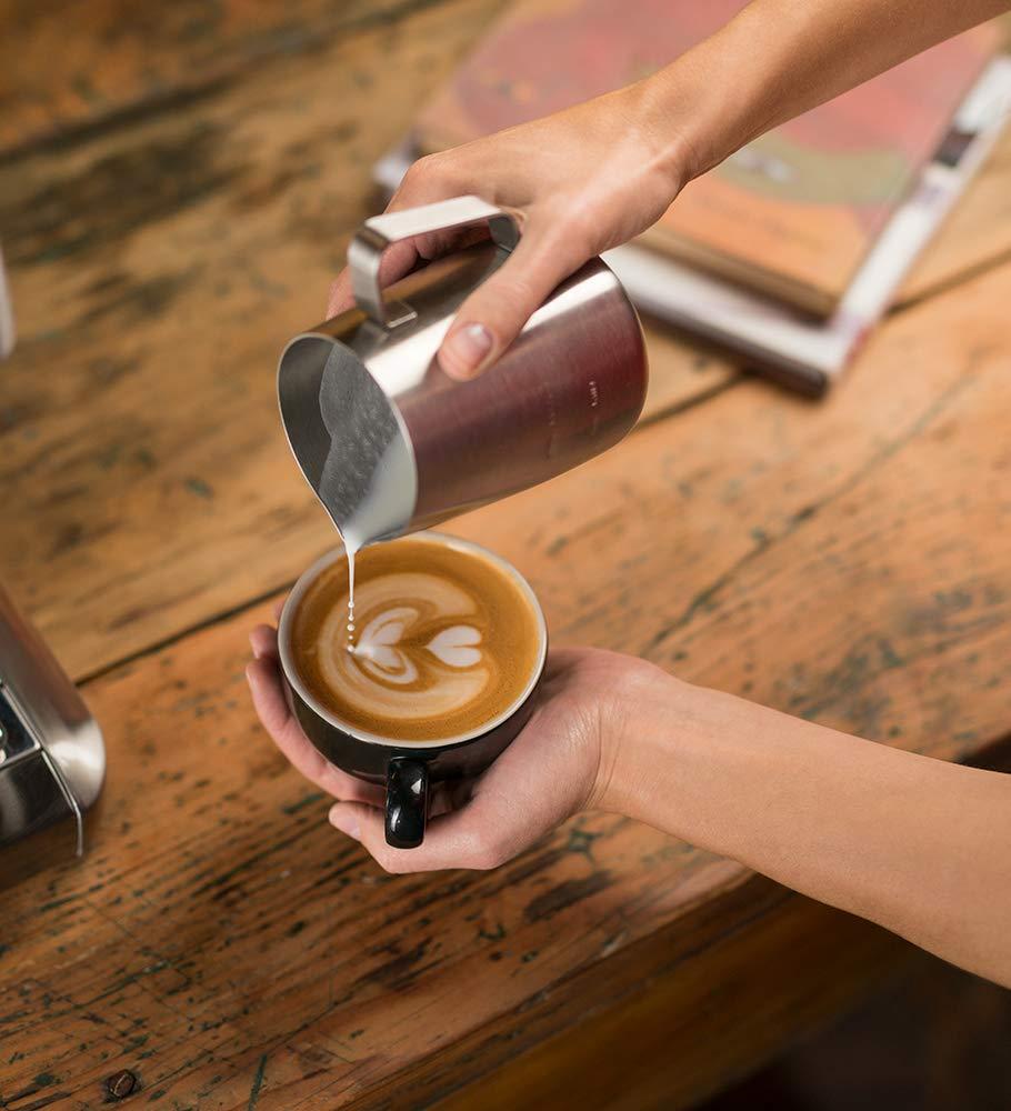 Breville Breville the Dup-Temp Pro Espresso Machine, One Size, Brushed Stainless Steel