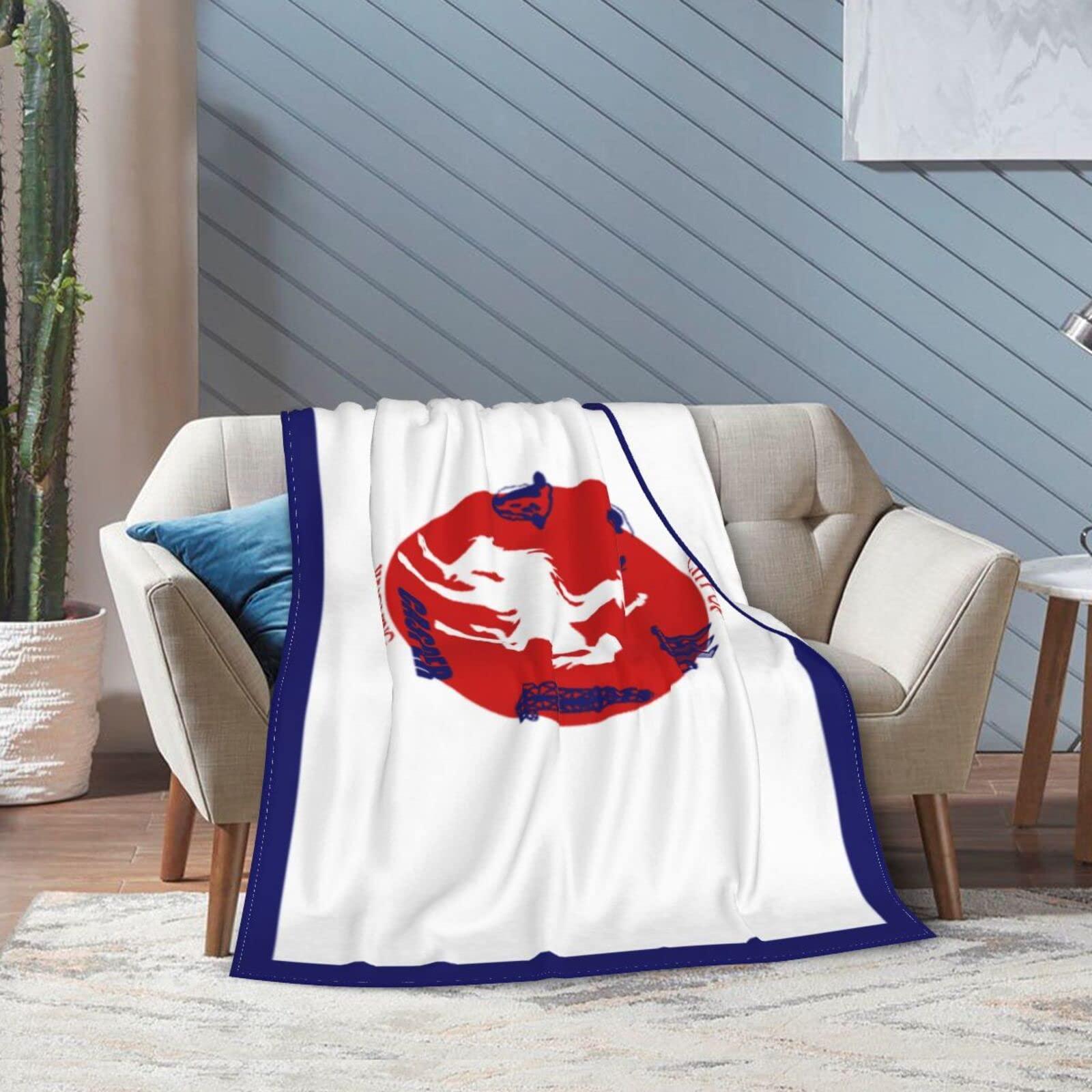 POOEDSO Flag of Casper, Wyoming Throw Blanket 40\"x30\" Soft Cozy Lightweight Blanket Fuzzy Blanket for Couch Bed Sofa