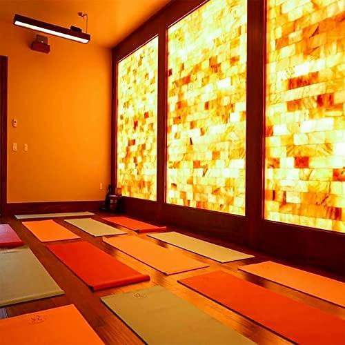 HSB Himalayan Pink Salt Blocks 8x4x2 Salt Bricks Build Salt Wall Panel Home decor Improvement Pack of 10