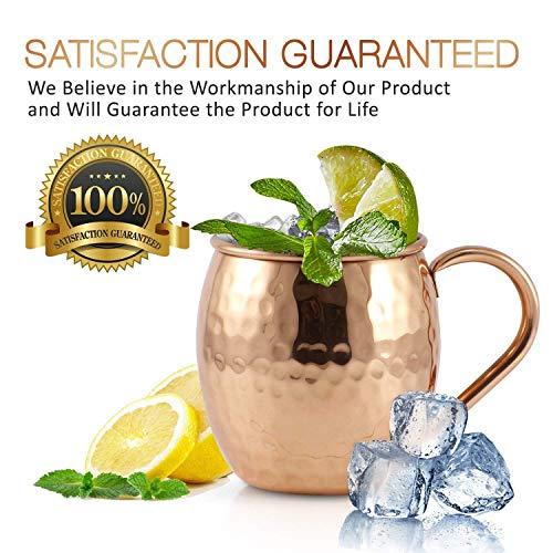 Advanced Mixology Advanced Mixology [Gift Set] Mule Science Moscow Mule Mugs Set of 4 (19 oz. large size) | 100% Handcrafted | Food Safe | Copper Mugs w/Accessories | Tarnish Resistant Copper Cups