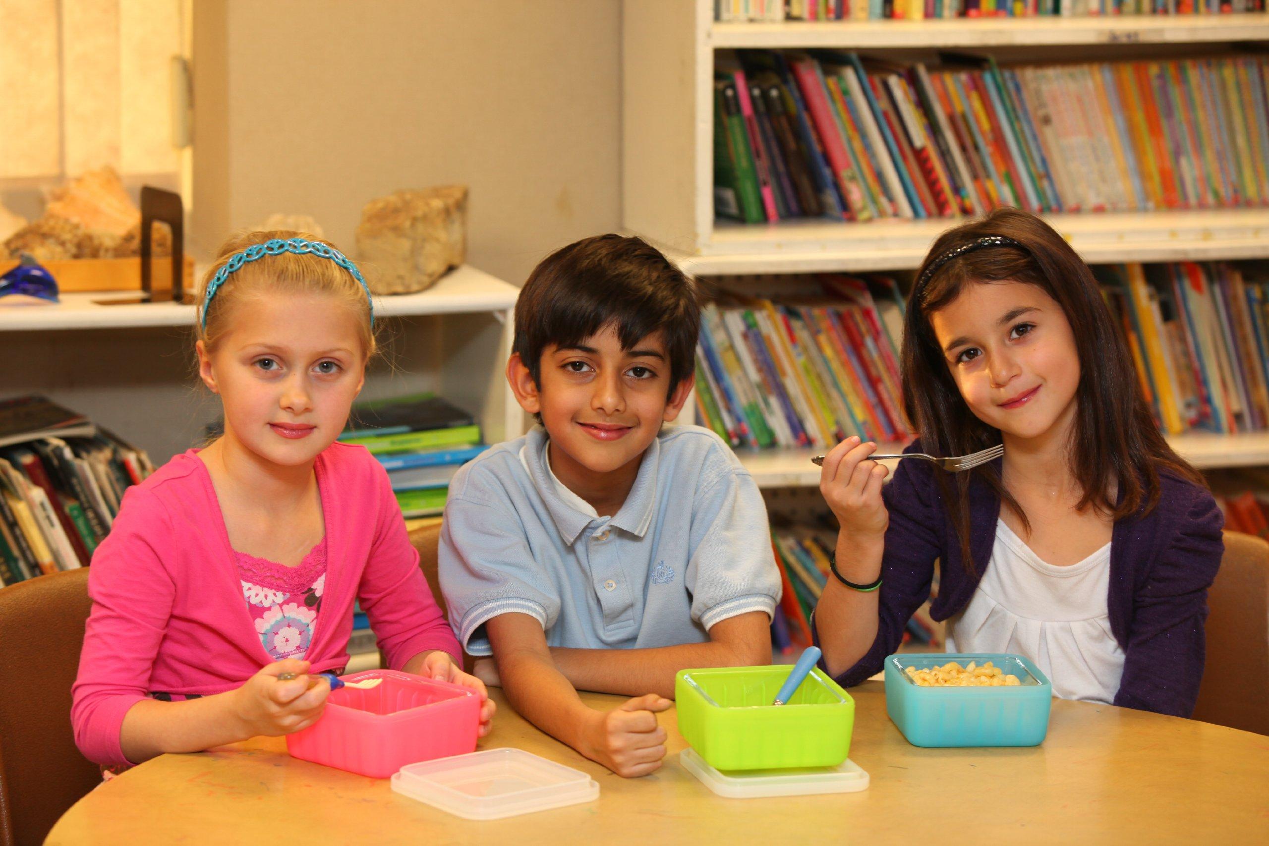 Frego Frego 798304217261 Food Container, 2-Cup, Orange