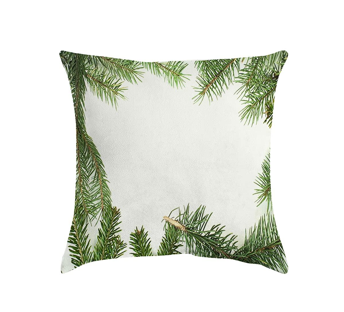 Aiiwdito Decorative Throw Pillow Covers Square Cushion Case Freshness Set Rapans Black Isolated Traditional Studio Holidays Ornament Objects Christmas Foliage Pillow Cover 18x18 Inch for Home Sofa Couch