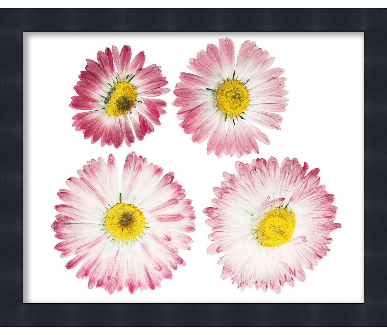 Poster Palooza 12x18 Shadow Box Contemporary Black 1\" Deep | Interior Size 12x18 by 1 Inch Deep - This Black Frame Is Made to Display Items Up to 1 Inch Deep! includes Shatter Resistant Acrylic, Backing, Hardware