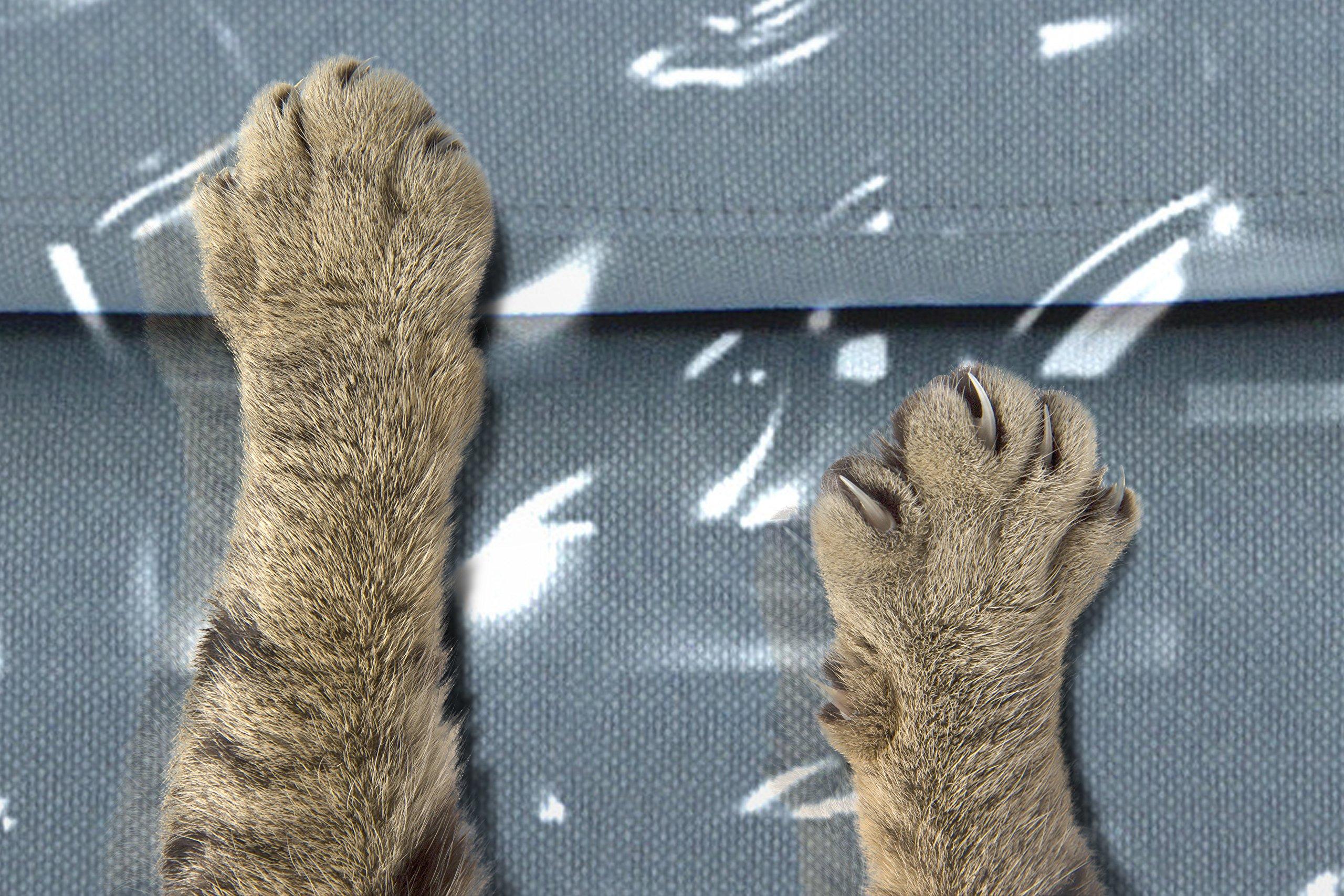 Kitty Cat Protector Plastic Couch Cover for Pets | Cat Scratching Protector Clawing Deterrent | Heavy Duty Water Resistant Thick Clear Vinyl | Sofa Slipover for Moving and Long Term Storage