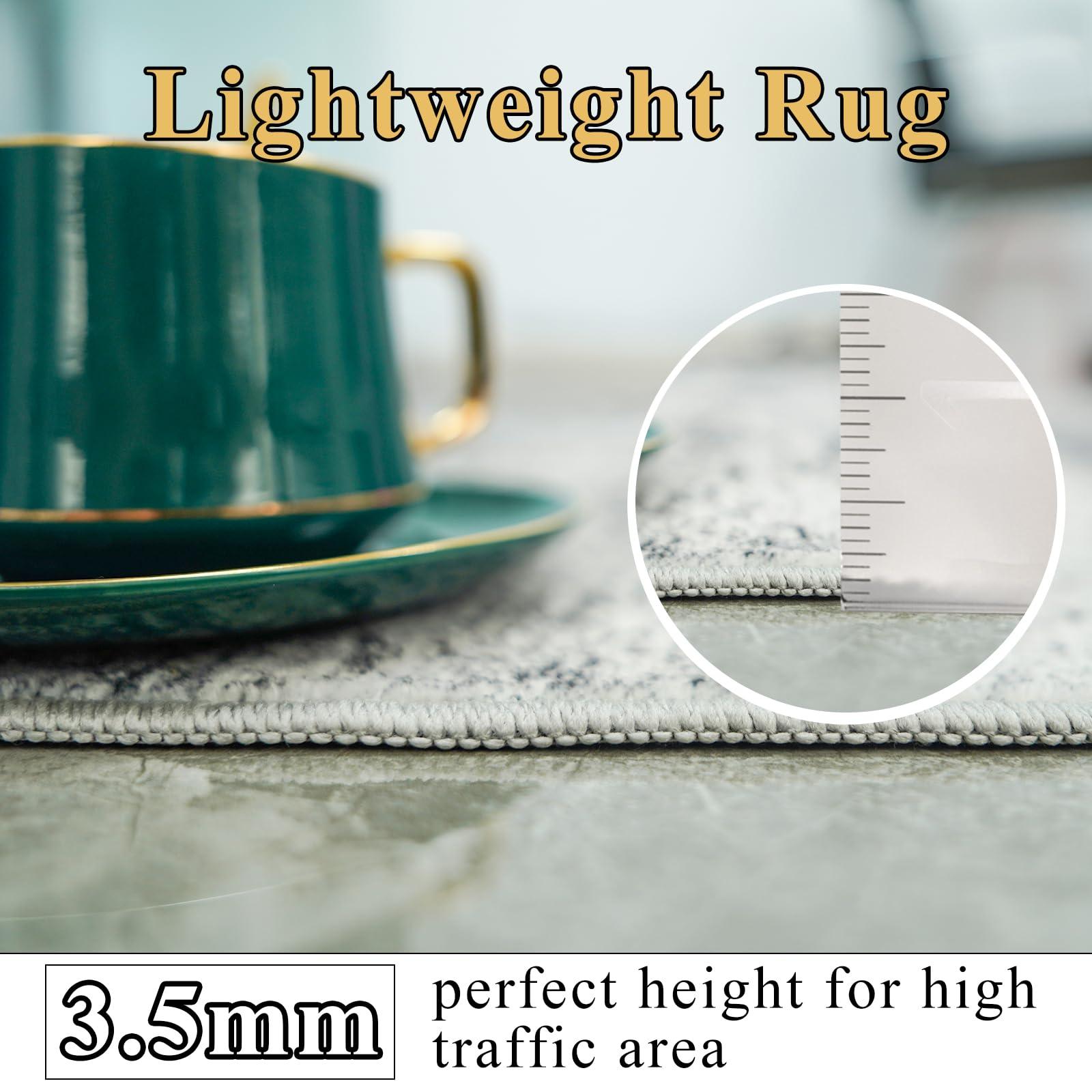 RUUGME RUUGME 9X12 Abstract Area Rug:Large Washable Living Room Rug Indoor Non Slip Low Pile Carpet for Bedroom Soft Foldable Stain Resistant Distressed Thin Rug for Dining Room Kitchen 9X12 Black A