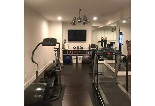 Matthews Fan Company Matthews DG-TB-MTL Dagny Indoor/Outdoor Damp Locations 39\" Dual Motor 360 Rotational Fan with Remote Control, Metal Fan with Cage, Textured Bronze