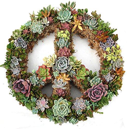 Topiary Art Works 18" Peace Sign Living Wreath Sphagnum Moss Form Complete