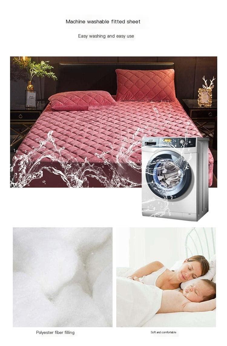 PUCHYUCT True Happiness Is To Enjoy The Present Canvas Wall Art Lucius Annaeus Seneca Poster Tree Print Vintage Decor Stretched And Framed Ready To Hang For Living Room,Bedroom,Classroom Etc (16\" X 24\")