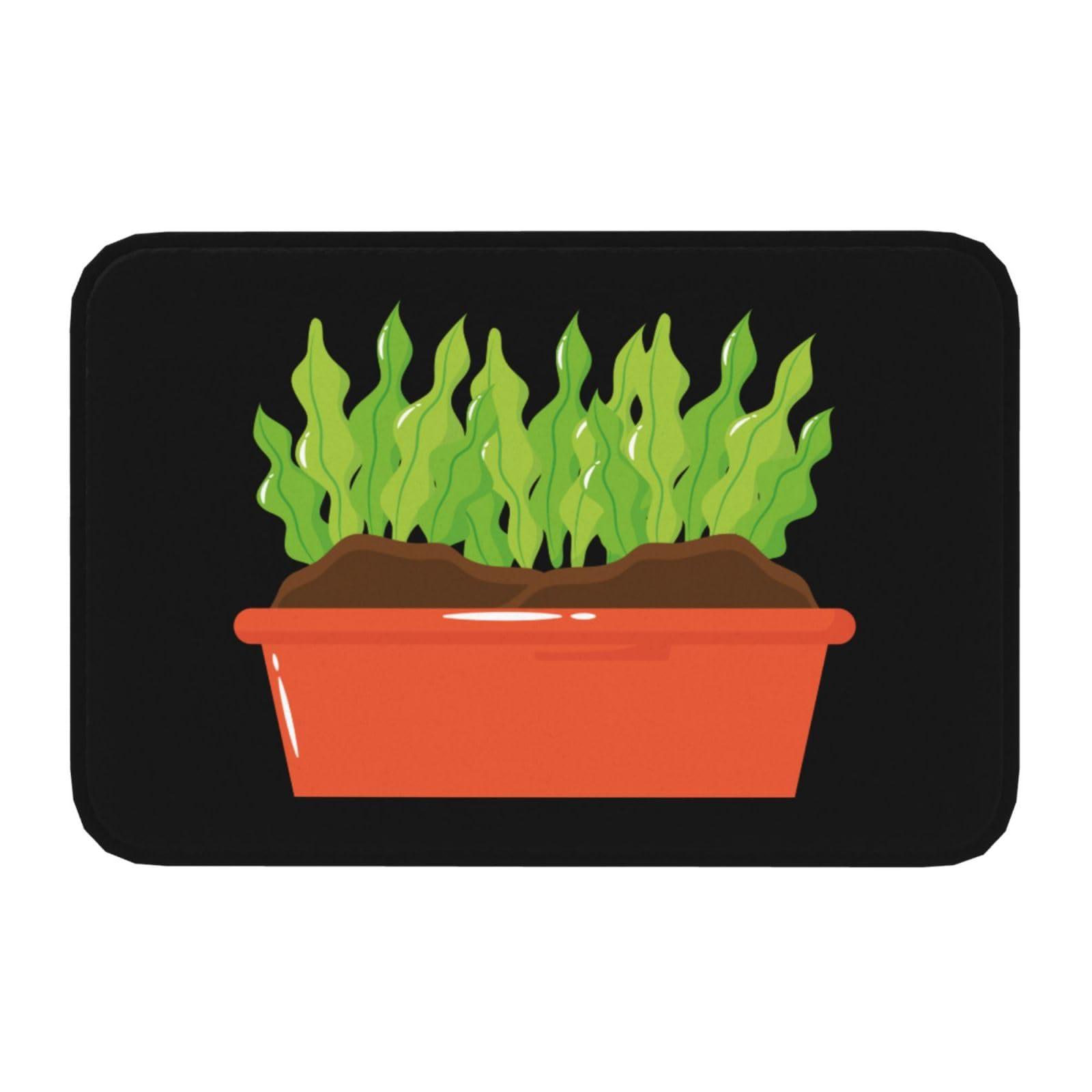 SIYTUAU SIYTUAU Potted Plants Bathroom Rugs 16x24 Inch Ultra Soft Non Slip Bath Mat Kitchen Bedroom Rug Door Mat