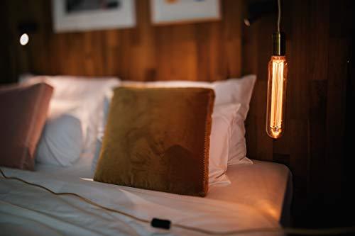 Next Glow Next Glow Decorative LED Light Bulb E26 Medium Base, Laser-Cut Inner Pillar 3.5W, Dimmable T60 Style Glow, Beautiful Home Decor Lighting for Kitchen, Pendant Fixtures. (Amber)