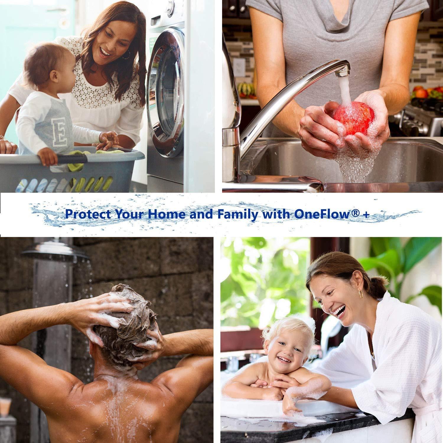 Watts Premier Watts OFPSYS OneFlow Plus Salt-Free Scale Prevention and Water Filtration System, Carbon Water Filter, Scale Reduction Cartridge, 1\" NPT Inlet and Outlet Connections