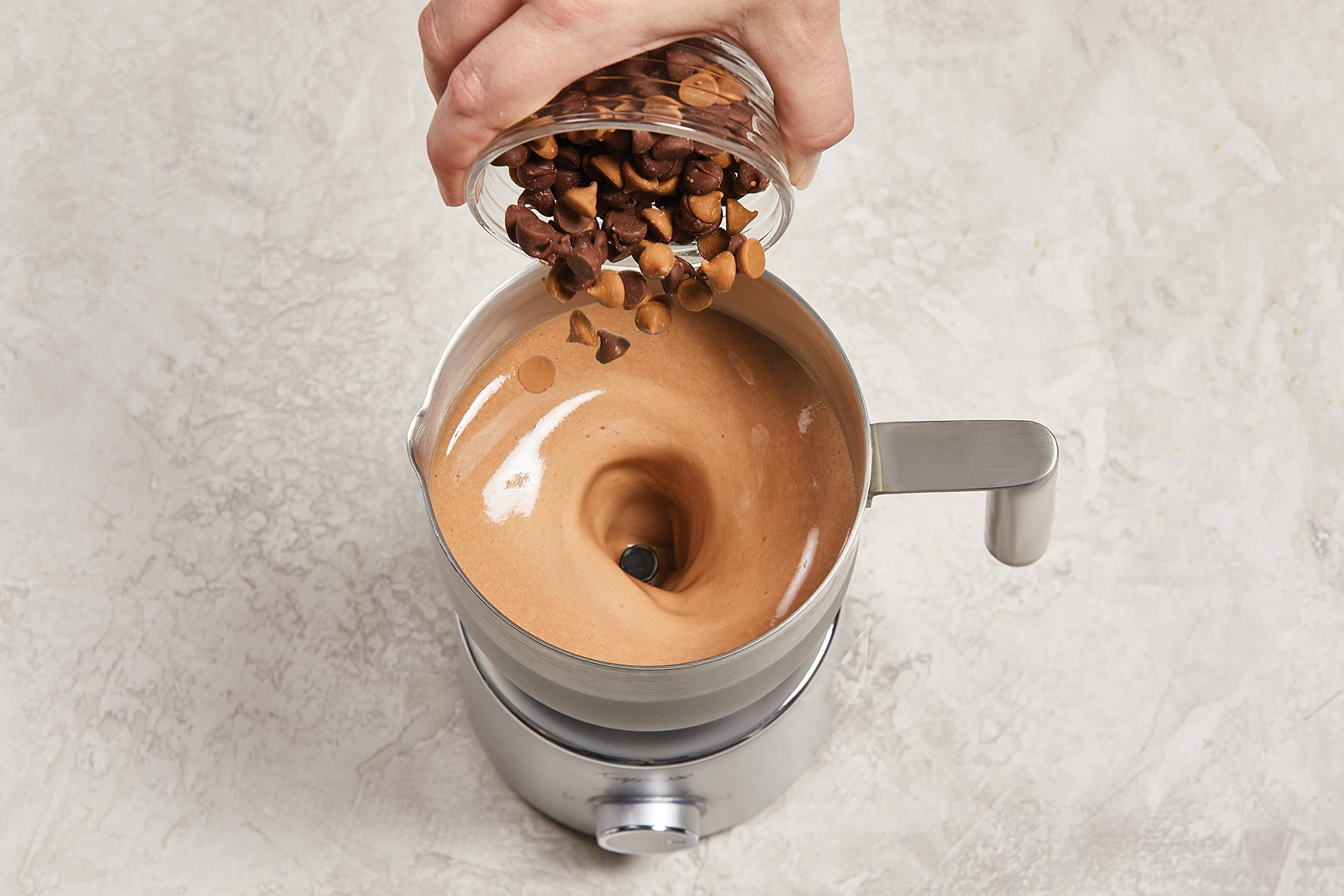 Capresso Capresso froth Select Automatic Milk Frother and Hot Chocolate Maker, Stainless Steel 209.05, Silver, 20 ounce