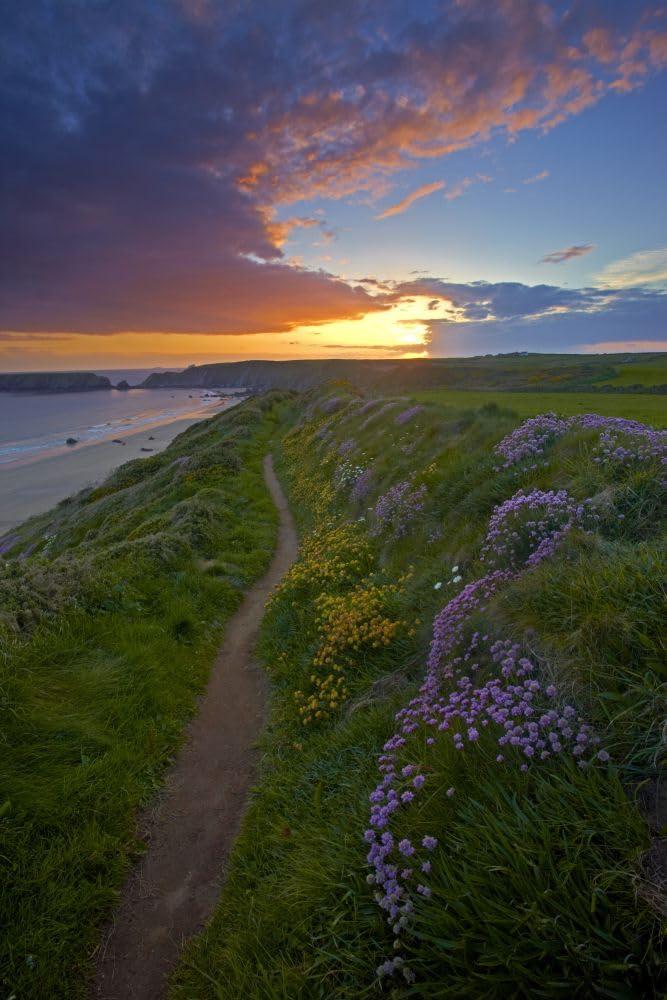 Posterazzi Sunset over Marloes beach from the Pembrokeshire Coastal Path. Poster Print by Loop Images Ltd. (12 x 18)