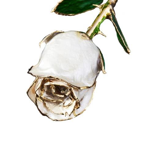 Eternal Rose Eternal Rose Pearl Collection - Real 24k Gold Dipped Rose - Gift for Her (Angel Dust)