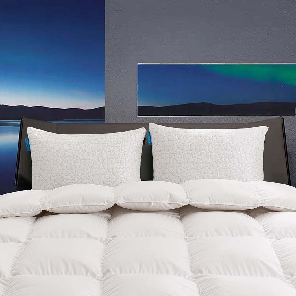 RGTIME RGTIME Cooling Pillows for Sleeping, Adjustable Shredded Memory Foam Bed Pillows Standard Size Set of 2, Cool Pillow for Hot Sleepers, with Extra Fill for Side Back and Stomach Sleepers