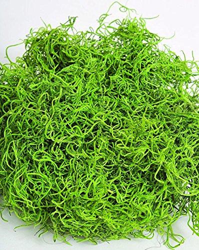 CCC Dried Spanish Moss colors -- 3lb Bulk Natural