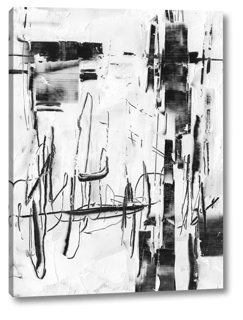 Canvas Art USA Polar Storm II by Ethan Harper - 29\" x 38\" Canvas Art Print Gallery Wrapped - Ready to Hang
