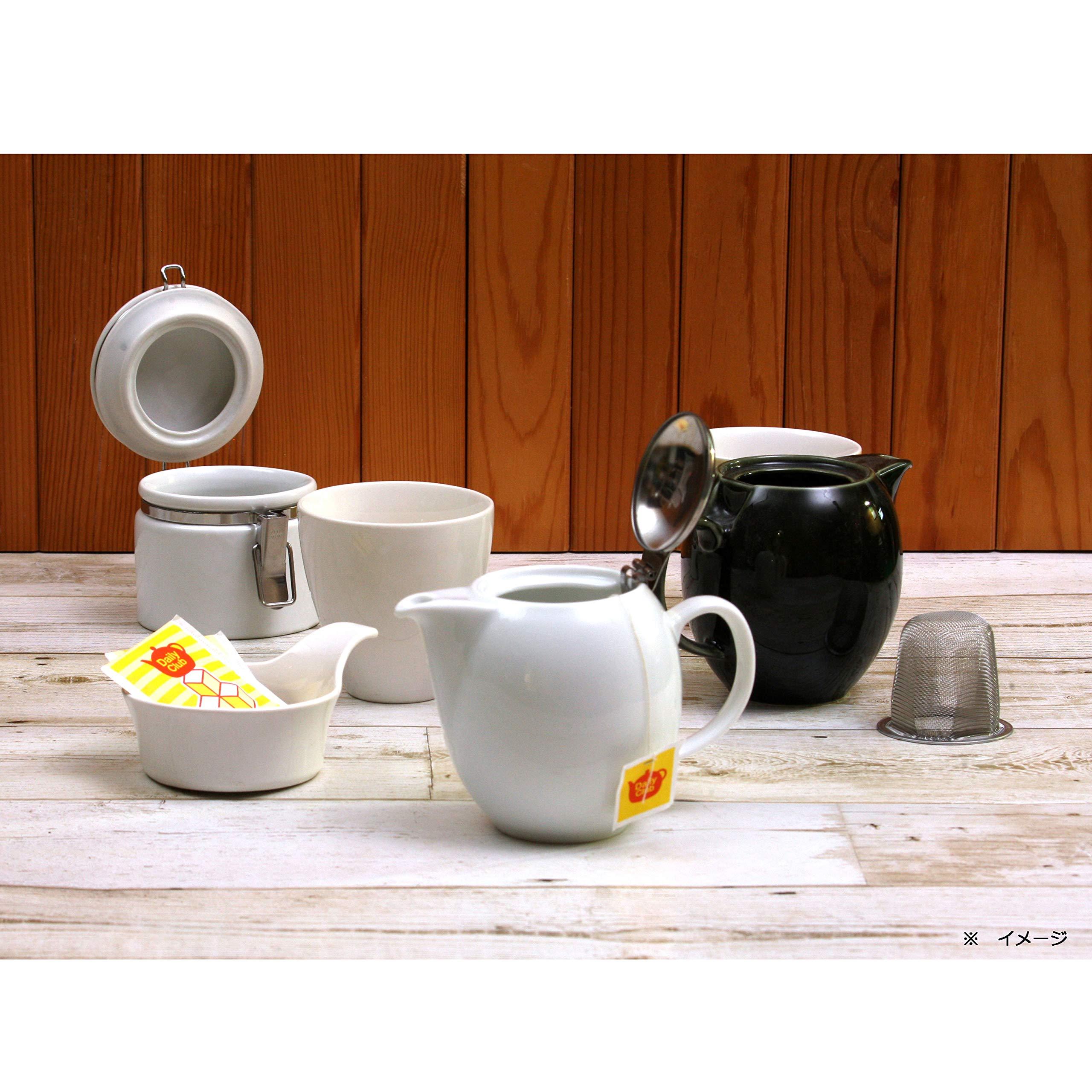 ZERO JAPAN(??????) ZEROJAPAN Universal Teapot for 2 People BBN-01 CA (Carrot)