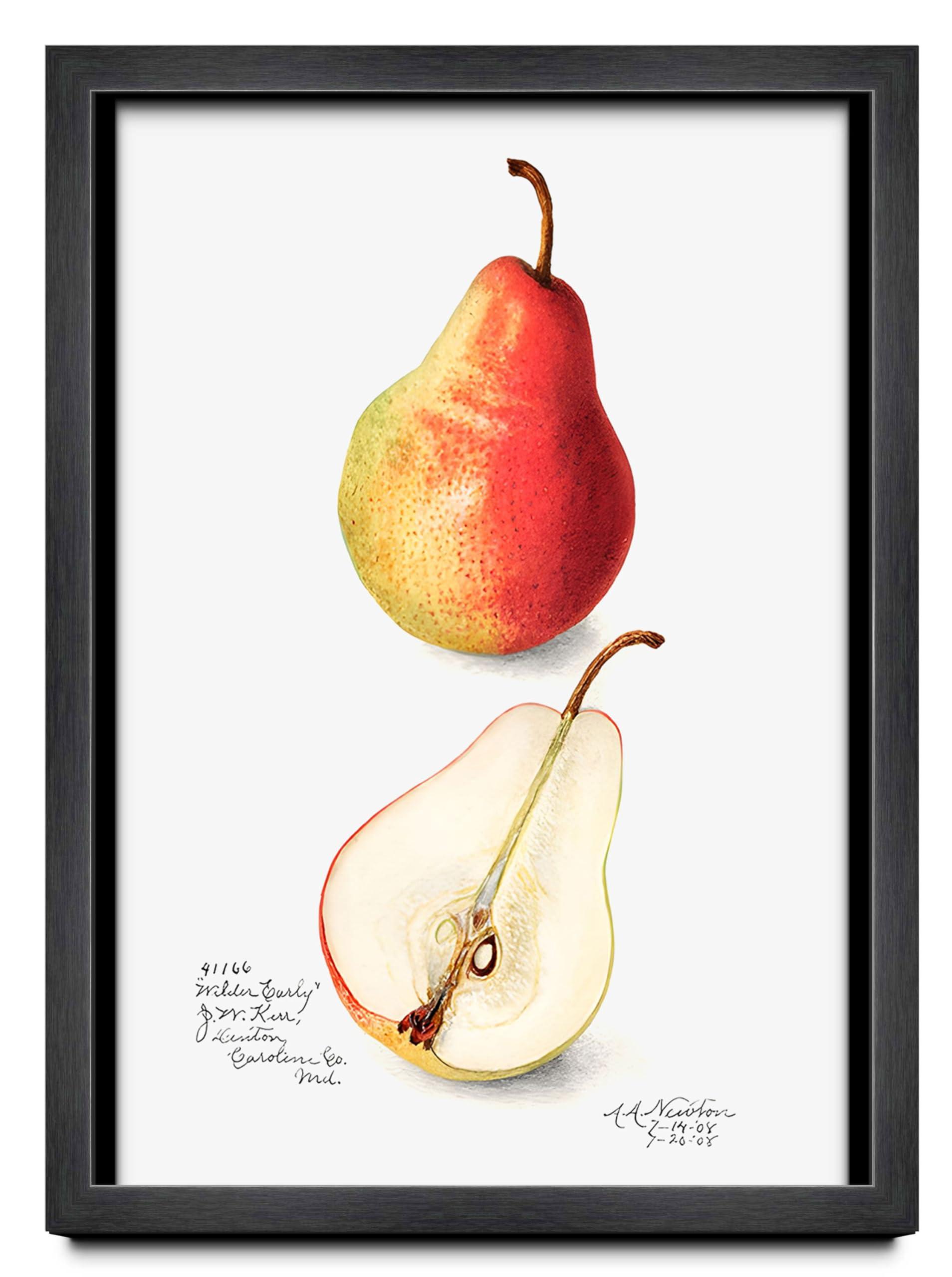 Poster Palooza 30x20 Frame Charcoal Black Wood Texture Dark Grey | 0.75 Inch Moulding Width | 0.5 Inch Rabbet Depth | Solid Wood Picture Frame with UV Acrylic Plexiglass, Foam Board Backing & Hanging Hardware